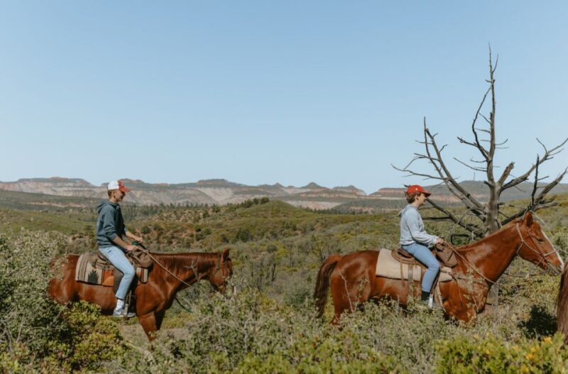 East Zion: Pine Knoll Horseback Tour - The Horses and Equipment
