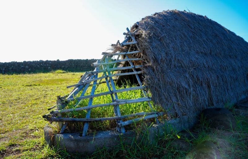Easter Island: Moai Full Day Private Tour - Frequently Asked Questions