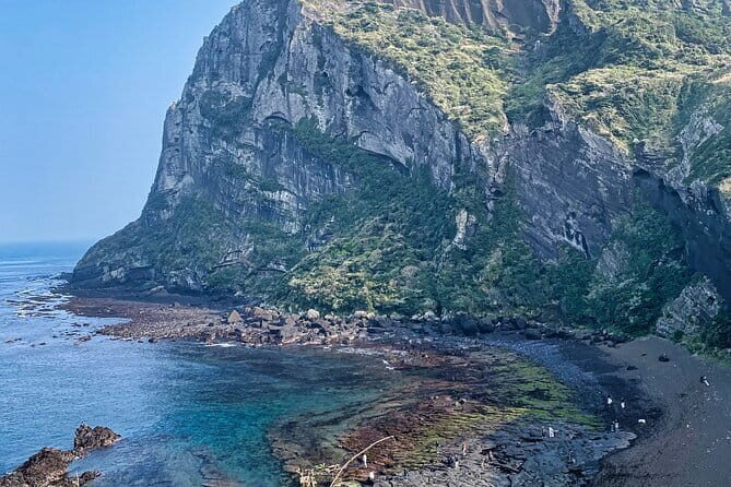 Eastern Jeju: All Inclusive Private Tour w/ Tangerine picking - An In-Depth Look at the Tour Experience