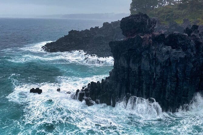Eastern Jeju: All Inclusive Private Tour w/ Tangerine picking - Practical Details and What to Expect