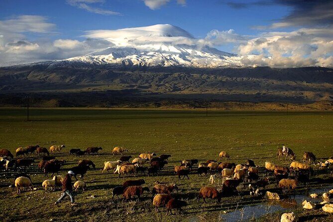 Eastern Turkey 12-Day Sightseeing Tour from Trabzon - Day 4-6: Mount Ararat, Van, and Mount Nemrut