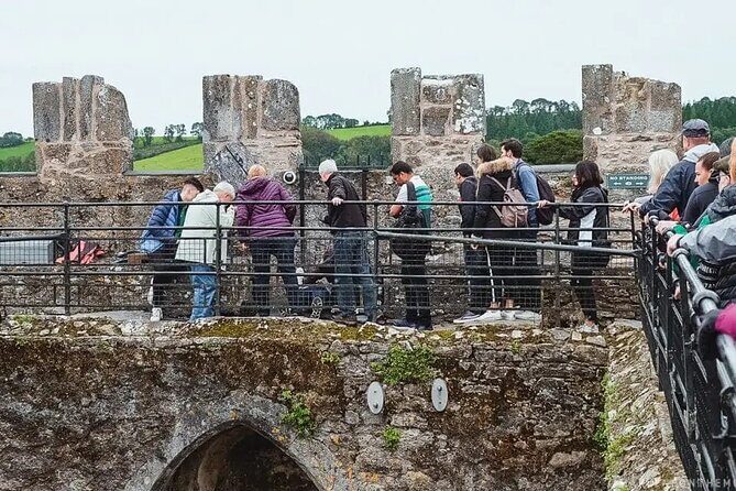 Easy Access Blarney Stone and Castle Gardens Tour - An In-Depth Look at the Tour Itinerary
