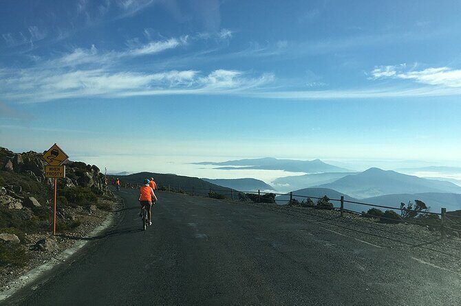 Easy Bike Tour - Mt Wellington Summit Descent & Rainforest Ride - Who Should Consider This Tour?
