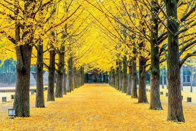 Easy private tour to Nami Island, Garden of Morning Calm - The Itinerary: What You’ll See and Experience