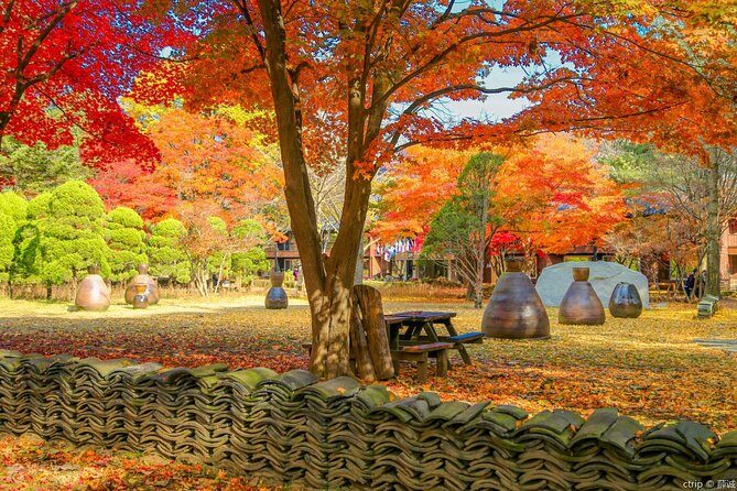 Easy private tour to Nami Island, Garden of Morning Calm - What Visitors Are Saying