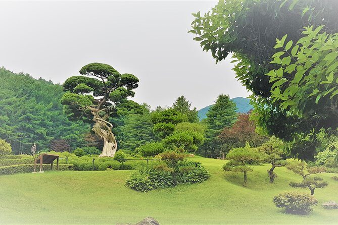 Easy private tour to Nami Island, Garden of Morning Calm - Practical Details to Keep in Mind
