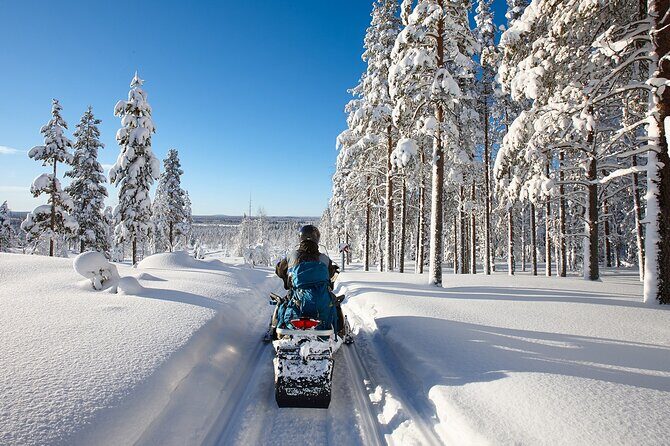 Easy Snowmobile Safari - Key Points