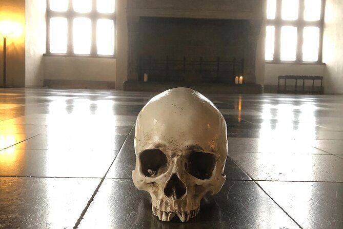 Easy Tour; Castle, Palace & Cathedral, Winter - What You Can Expect on This Danish Adventure