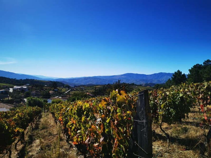 Eat in the vineyards like a Duriense - FAQ