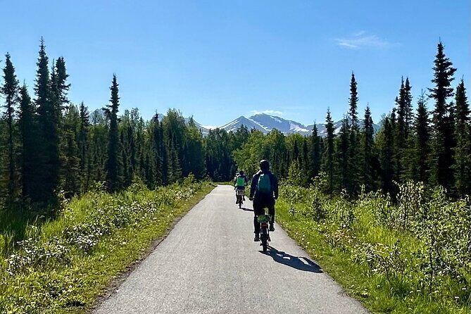 eBike Art and Trails Guided Tour of Anchorage - What to Expect on the Route