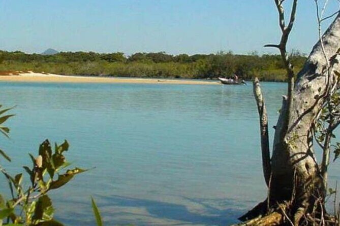 eBike Noosa Sightseeing Tour - New! - Who Should Consider This Tour?