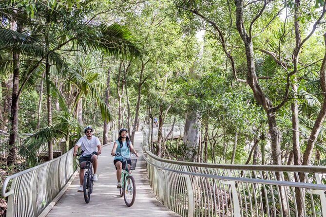 eBike Noosa Sightseeing Tour - New! - The Sum Up: The Best of Noosa in a Day