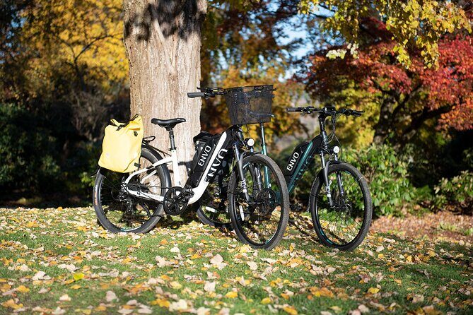 eBike Rentals in Kelowna - The value of an eco-friendly, flexible ride