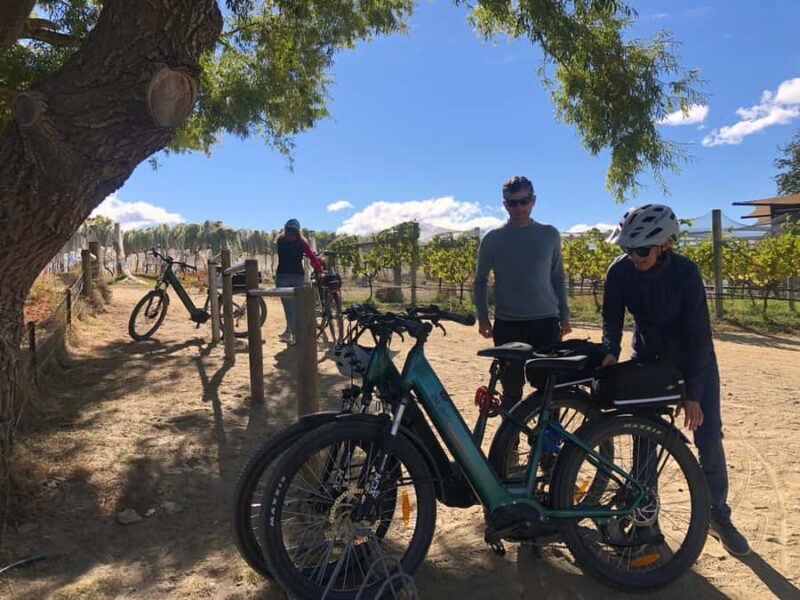 ebike tour lake Hawea river track to Wanaka - Exploring the Lake Hawea River Ebike Tour: A Practical Guide