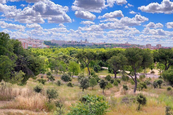 Ebike tour Madrid, green areas and panoramic views. 3 hours - FAQs