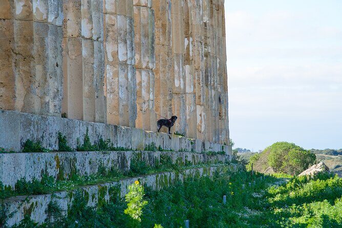 Ebike tour, Selinunte - The Experience in Review
