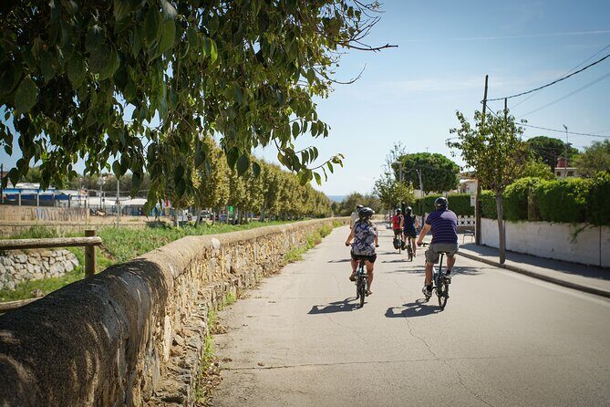 Ebike Tour, Winery, Wine Tasting & Sailing Experience(car option) - FAQ