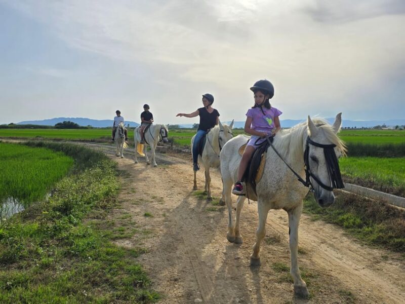 Ebro Delta National Park: Guided Horseback Riding Tour - Key Points