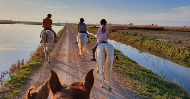 Ebro Delta National Park: Guided Horseback Riding Tour - The Itinerary and What to Expect