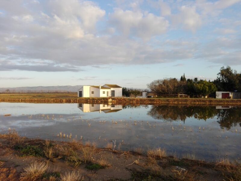 Ebro Delta: Northern Delta Guided Tour with a Local - Key Points
