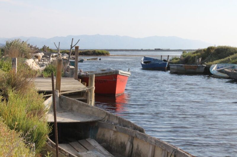 Ebro Delta: Northern Delta Guided Tour with a Local - A Detailed Look at the Experience