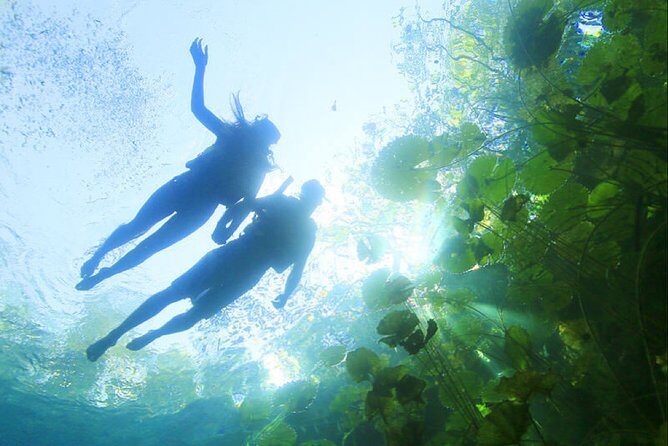 ECHANTING 2 Days excursion to 2 different ecoparks in RIVERA MAYA with transport - Introduction: An Exciting 2-Day Eco-Adventure in Riviera Maya