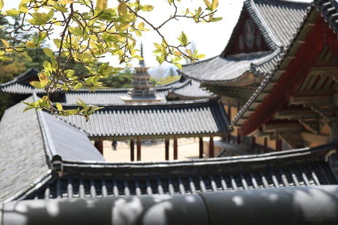 Echoes of Silla Gyeongju Historical Guided Day Tour from Busan - The Sum Up
