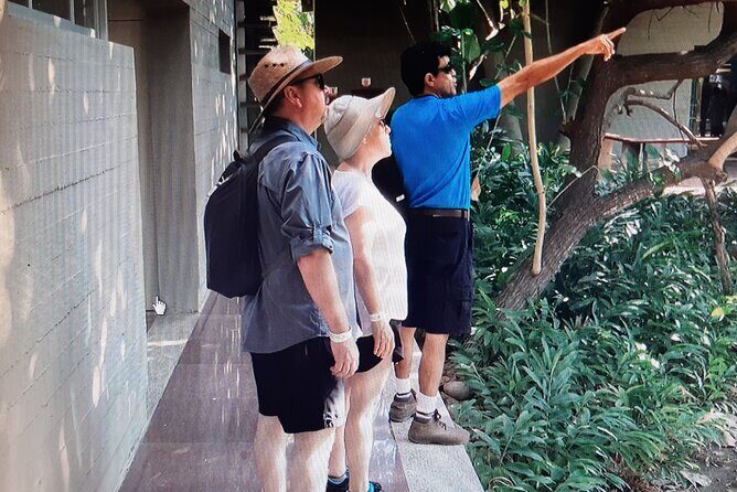 Eco Adventure in the Archaeological Area of Copalita - The Sum Up