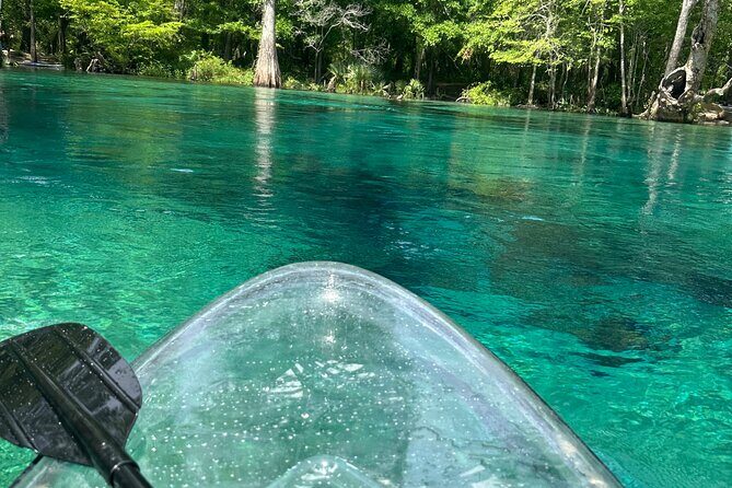 ECO adventure to Cypress Springs by Paddle Board or Kayak - What Travelers Are Saying