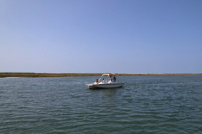 Eco Boat Tour in the Ria Formosa Lagoon from Faro - An In-Depth Look at the Eco Boat Tour Experience