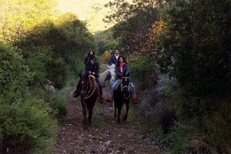 Eco Canyon Horseback Riding Excursion - Practical Tips for Participants