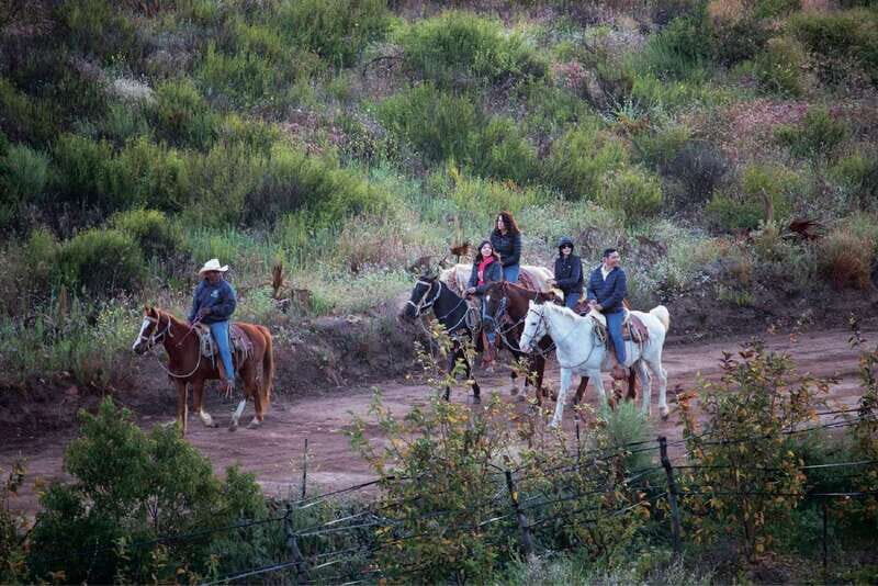 Eco Canyon Horseback Riding Excursion - Final Thoughts: Who Should Consider This Tour?