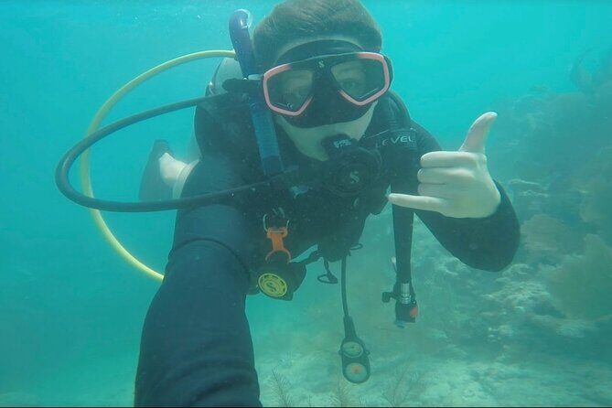 Eco Conscious Reef Diving with Southpoint Divers - What Travelers Say: Authentic Perspectives