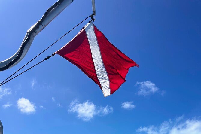 Eco Conscious Reef Diving with Southpoint Divers - The Bottom Line: Who Should Consider This Tour?