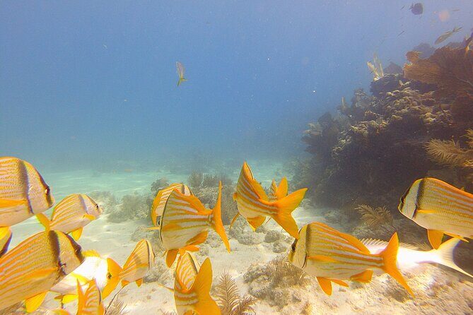 Eco Conscious Reef Diving with Southpoint Divers - Frequently Asked Questions