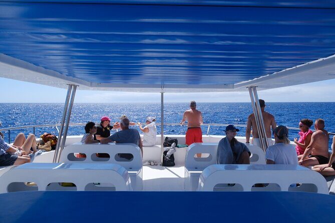 Eco-Friendly Catamaran Dolphin and Whale Watching - Madeira Eco-Friendly Catamaran Dolphin and Whale Watching: A Detailed Review