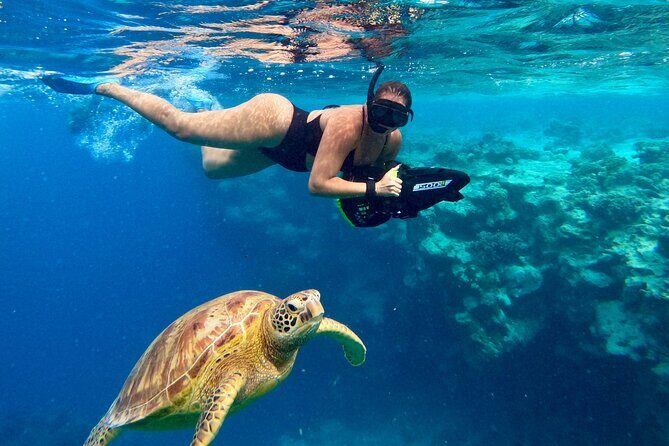 Eco Friendly Sea Scooter Turtle Tour in Rarotonga - Key Points