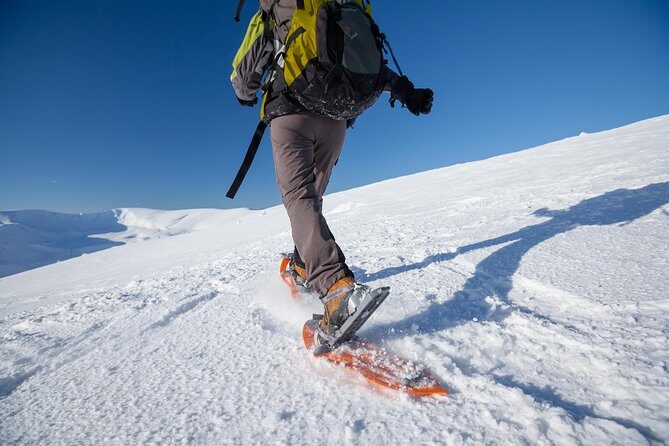 Eco friendly snowshoeing in Scenic Landscape - Introduction: A Scenic Journey with a Green Twist