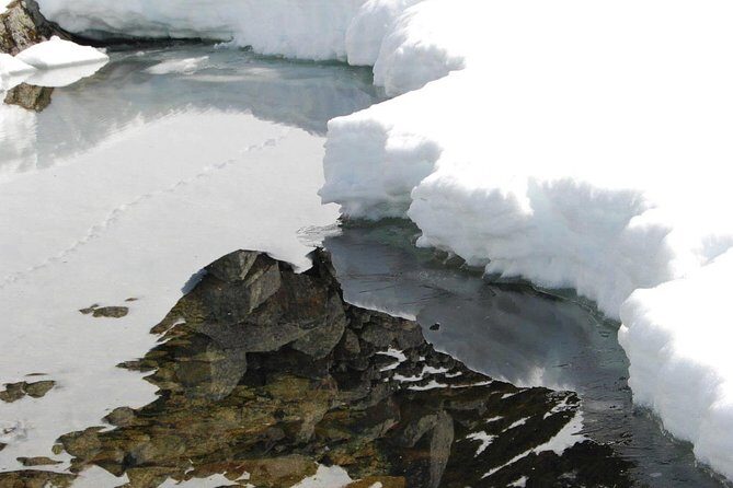 Eco friendly snowshoeing in Scenic Landscape - Value and Pricing: Is It Worth It?