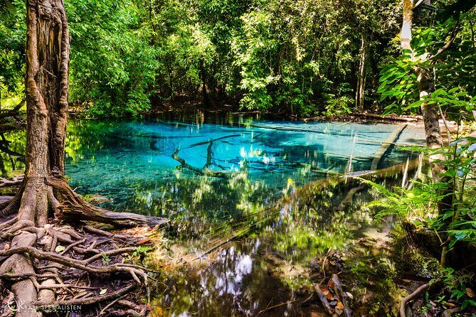 ECO Premium Jungle Hot Springs and Temple Tour - Practical Tips for a Smooth Experience