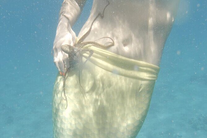 Eco Sea Scooter Beach Entry - Rent a GoPro Video tape Sea Turtles - FAQ