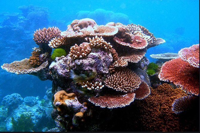 Eco Sea Scooter Guided Beach Tour From The Famous Kapalua Bay - Reviewing the Experience: Authentic Guest Insights