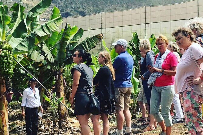 Ecological Banana Plantation Tour - Who Should Book This Tour?