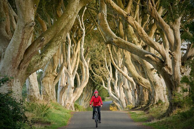 Economy Transfer from Dublin Airport to Belfast - Who Should Consider This Transfer?