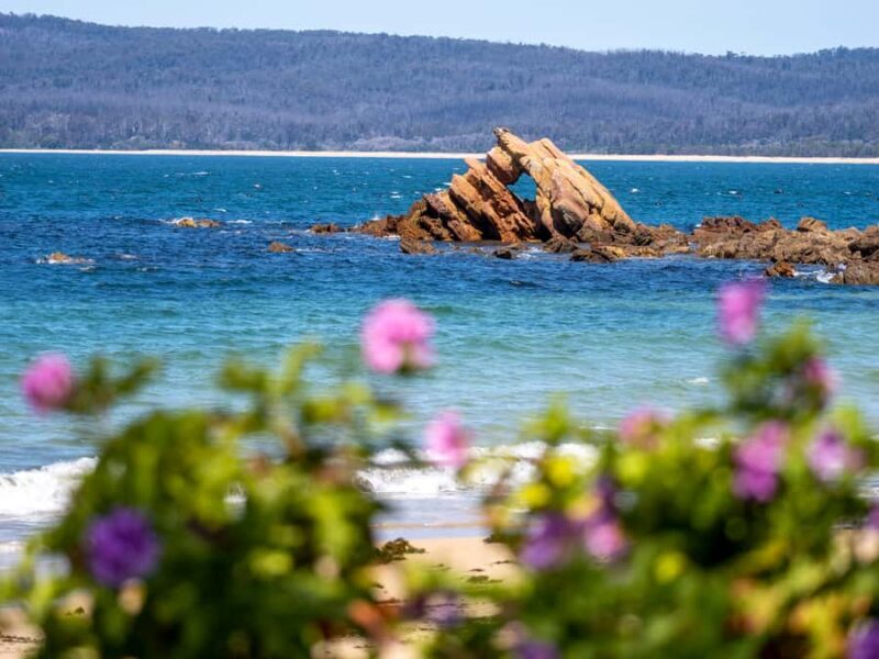 Eden: 2-Hour Highlights Tour, Nature, Beaches and Lookouts - Key Points