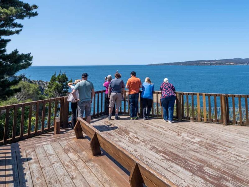 Eden: 2-Hour Highlights Tour, Nature, Beaches and Lookouts - Why This Tour Offers Great Value