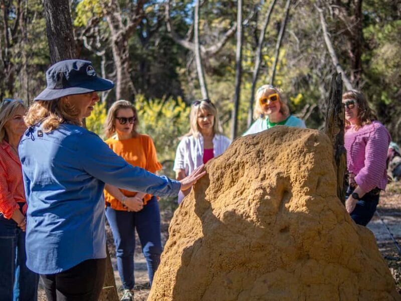 Eden: 2-Hour Highlights Tour, Nature, Beaches and Lookouts - Final Thoughts