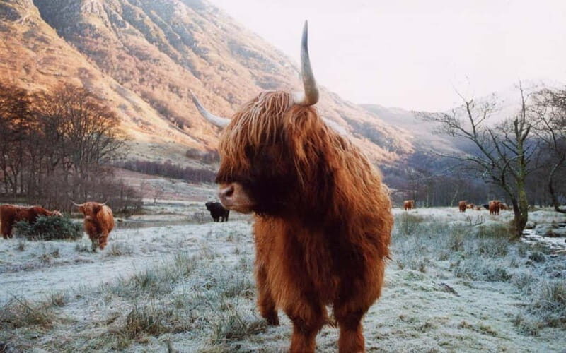 Edinburgh: 18-39s 3-Day Tour of Scottish Highlands & Skye - Authentic Experiences and Authenticity