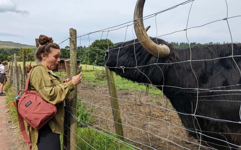 Edinburgh: 18-39s 3-Day Tour of Scottish Highlands & Skye - Who Should Book This Tour?