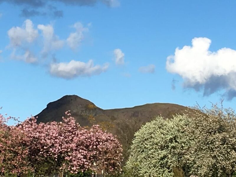 Edinburgh: a Scottish experience for Children in German - What Makes This Tour Stand Out?